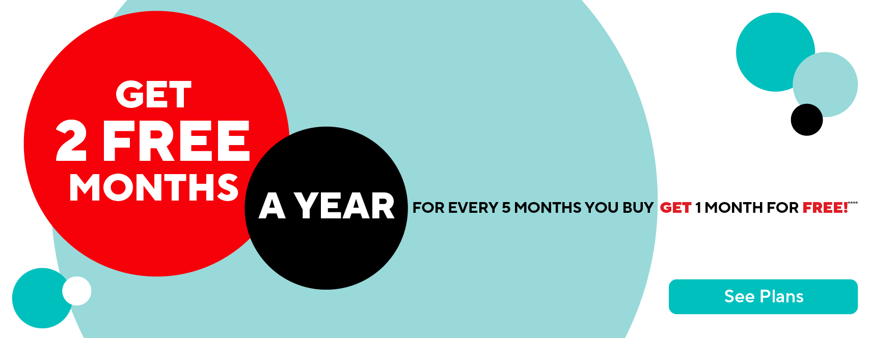 6th Month Free